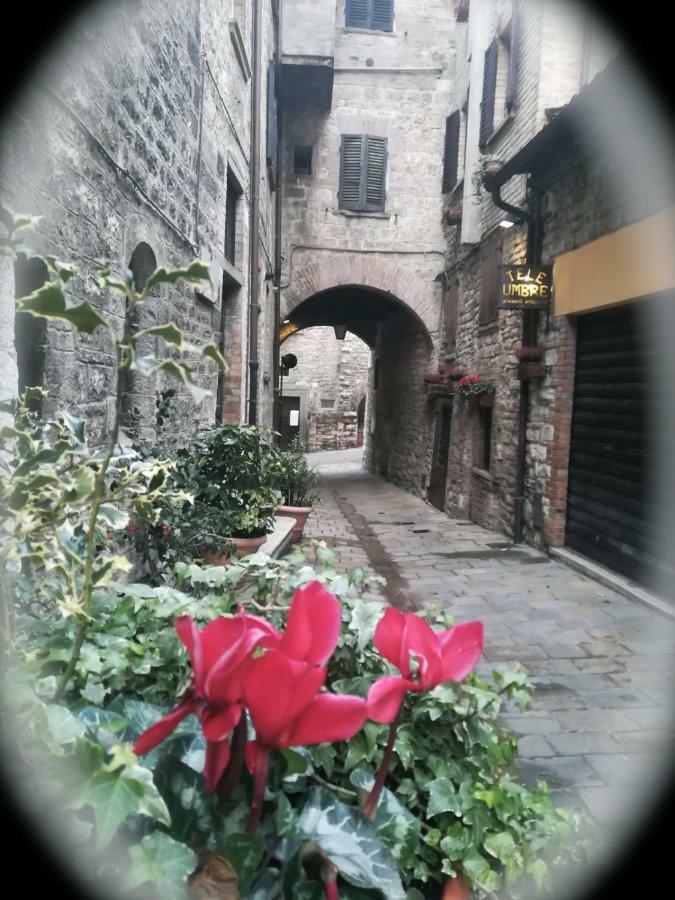 Affittacamere In Centro Gubbio Bagian luar foto